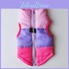 Vêtements et chaussures – Gilets et chemises pour chiens