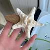 Sponka do vlasů Přírodní sláma 3D design hvězdice Klip na ofinu Stabilní upínací síla Pláž Každodenní život Vlasové doplňky