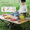 ZISIZ Ultralight Portable Camping Table