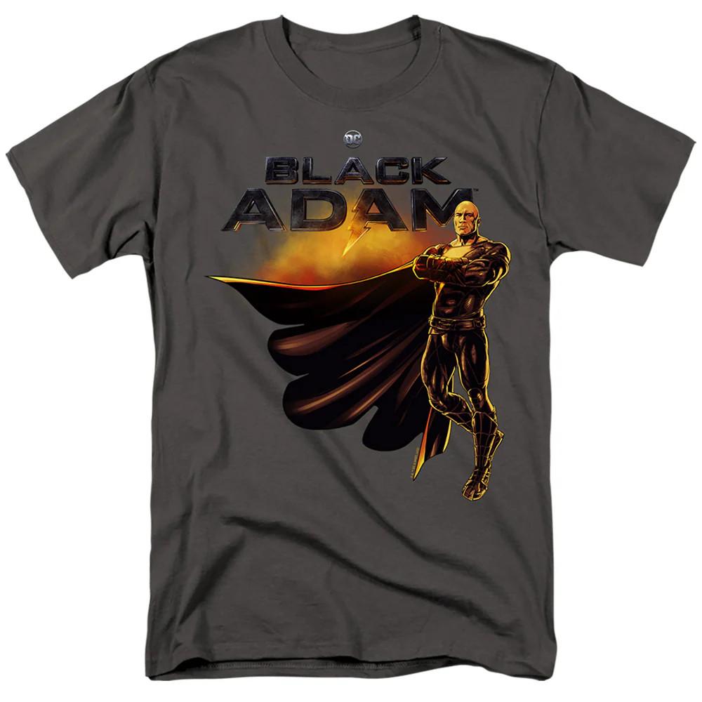 

Black Adam Black Adam Logo With Character Mens T Shirt Charcoal 4XL
