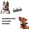 Catena di Stimolazione per Addestramento Cani Collare per Cani Articoli per Animali Domestici Articoli per Addestramento Cani Collare a Punte Collare per Collo Cani Catena per Cani da Compagnia