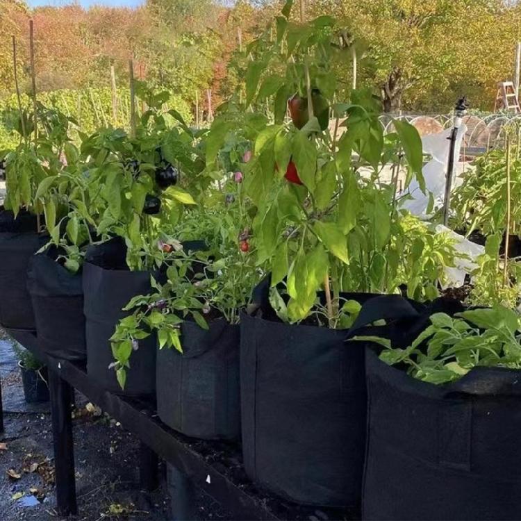 Nonwoven Fabric Grow Bags Garden Plant Pots with Handle Nonwoven Texture Suitable for Growth of Vegetables and Flowers