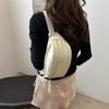 Beautiful Bag Women 2025 New Trendy Summer Personality Popular This Year Niche Messenger Breast Bag Trendy Fashion Fanny Pack