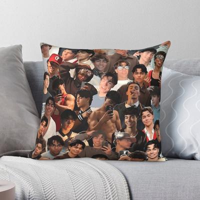 Malachi Barton Aesthetic Collage Square Pillowcase Polyester Linen Velvet Printed Decor Throw Pillow Case Bed Cushion