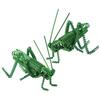 Lightweight Simulation Insect Statue Handmade Ornaments Metal Wire Mantis Model  Living Room