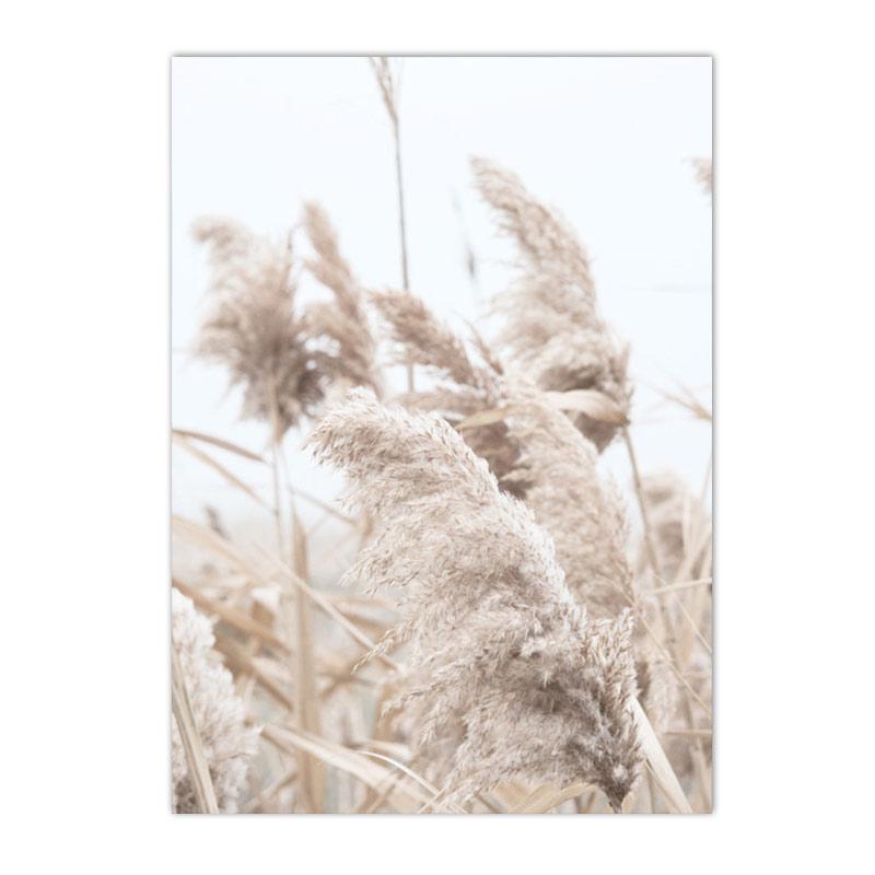 Béžový Bunny Tail Grass Nástěnné plakáty Přírodní pampy Reed Obraz na plátně Květinový umělecký plakát Malba Severské nástěnné obrazy Home Decor
