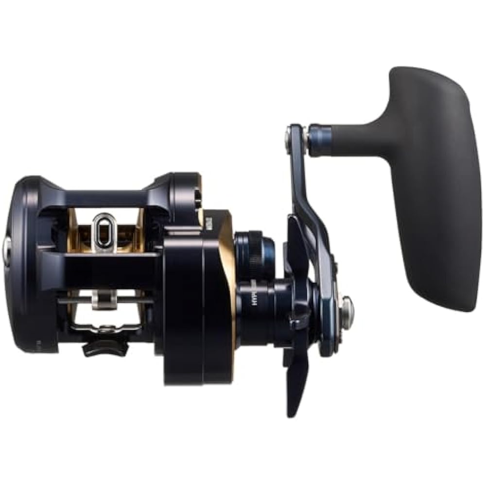 Daiwa (DAIWA) jigging bait reel SALTIGA (Saltiga) 300HL