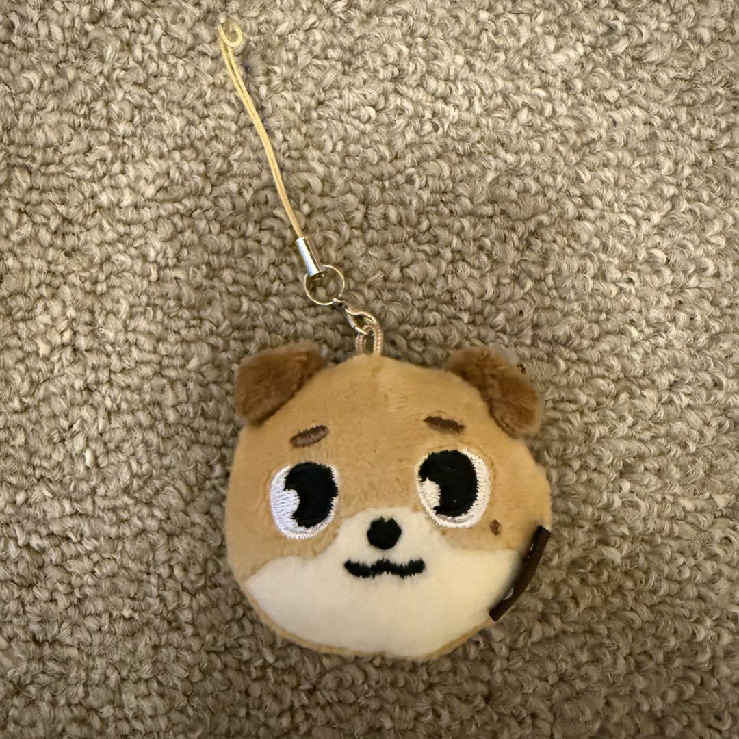 

[USED] DAY6 Forever Young Korean Plush Keychain Dowoon