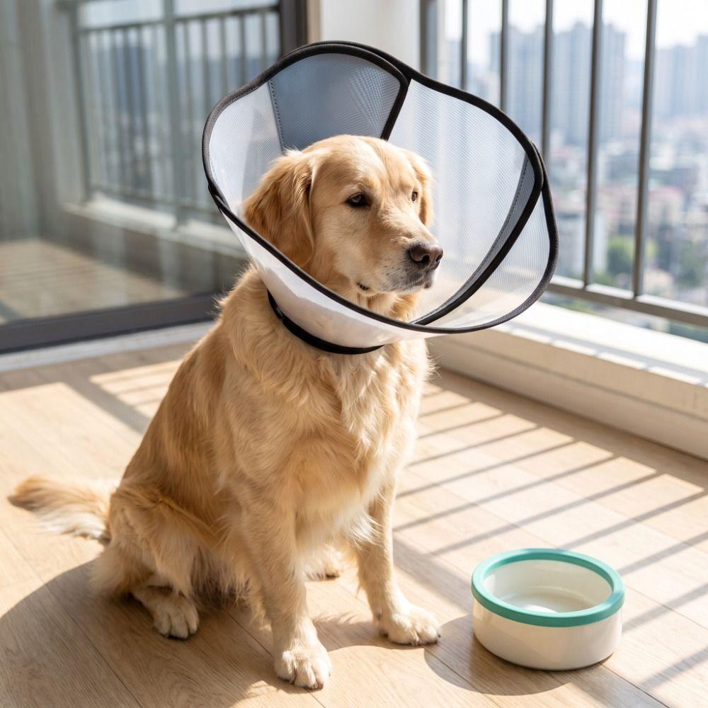 Transparent Dogs Comfy Cones Adjustable Dog Sterilization Collar Neck Protection Cover  Wound