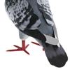 Simulation Foam Pigeon Model Realistic Bird Figurines Artificial Foam Bird Mini