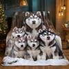 Coperta Chiffon Famiglia Husky, Coperta Leggera Portatile per Viaggio, Morbido Caldo Design Invernale, Accogliente Arredamento Casa per Tutte le Stagioni