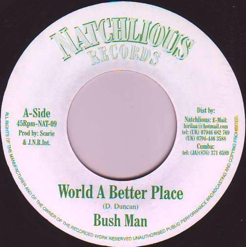 

7-дюймовая пластинка BUSHMAN World Is A Better Place NAT09 Natchlious Reco UK Регги Ска Даб Б/у