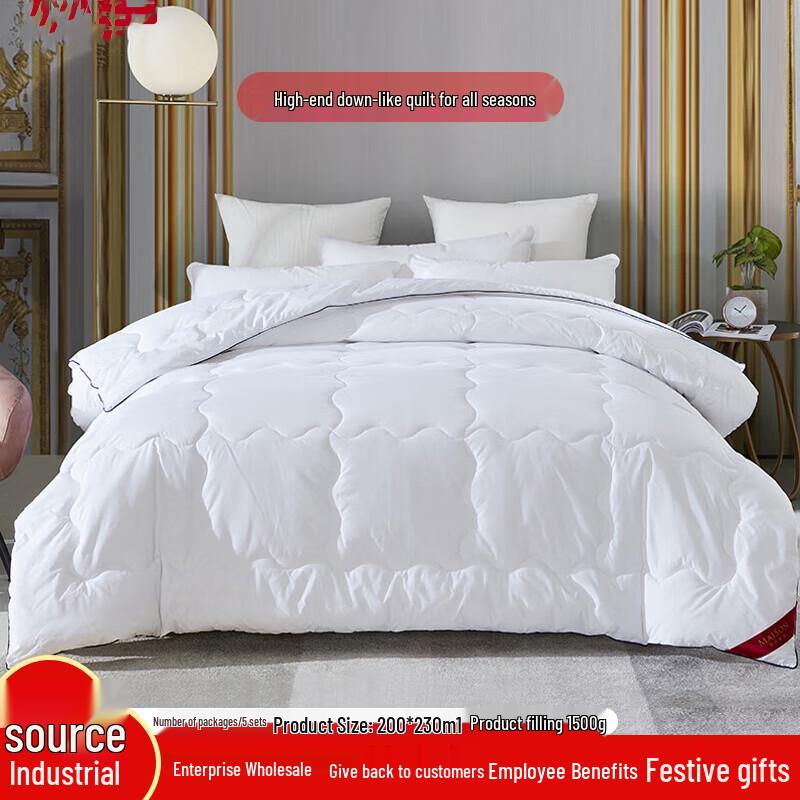 Bobirolly All-Season Microfiber Quilt