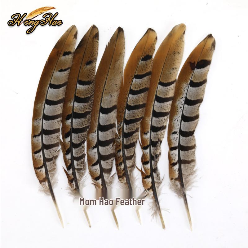 Pheasant Feather Long Plumes for Peking Opera Performance - Sun Wukong Theme