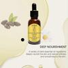 Limited time!!Ouhoe Frankincense Wood Essential Oil Facial Moisturizing And Skin-Firming Daily Care Essence Oil