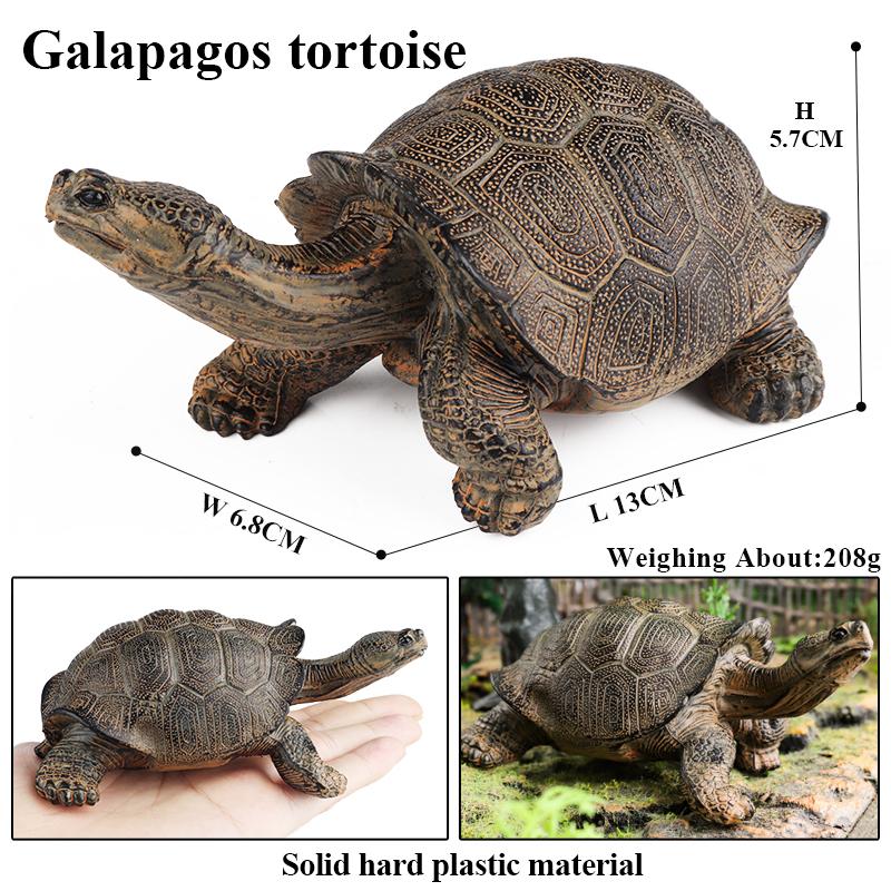 Oenux Sea Life Animals Model Leatherback Tortoise Turtle Growth Cycle Ocean Figurines Action Figures PVC Collection Kid Toy Gift