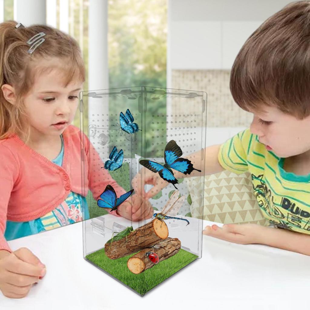 Small Reptile Feeding Box Acrylic Transparent Terrarium Habitat For Frog Insect Spider Lizard Scorpion Breeding Arboreal Cage