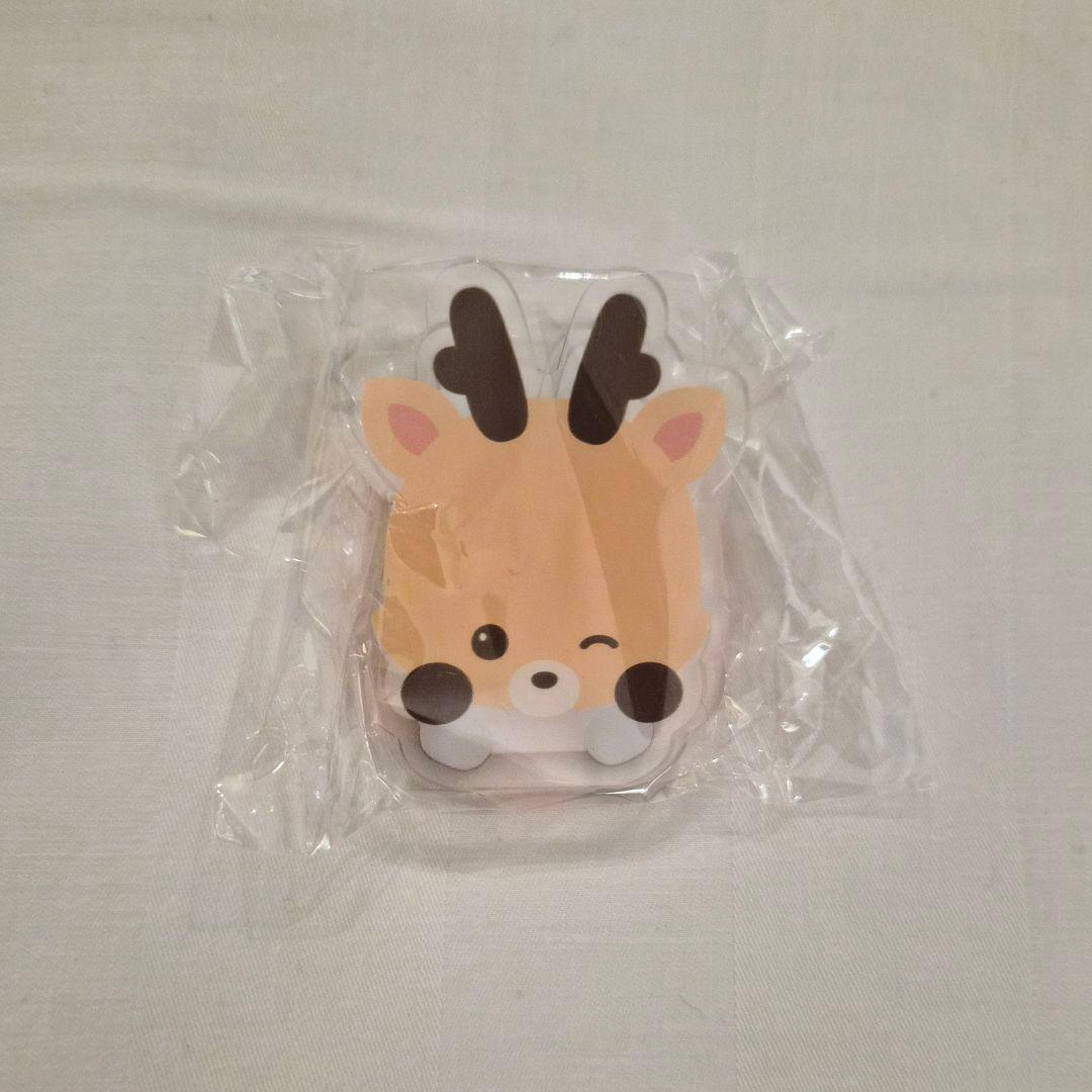 [USED] RIIZE Sungchan POPUP Acrylic Clip