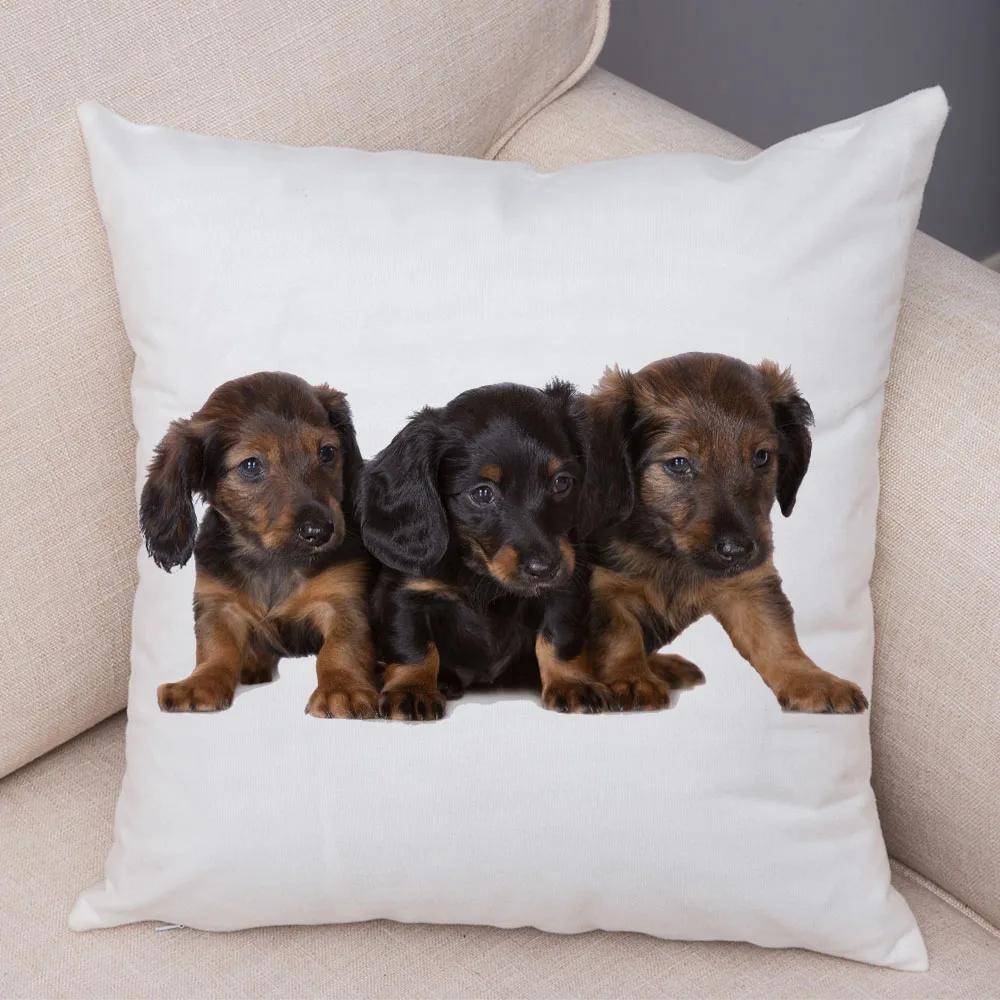 Mini Dackel Hund Kissenbezug Dekor Haustier Tier Kissenbezüge Superweicher Plüsch Kissenbezug für Sofa Zuhause Kinderzimmer 45x45cm
