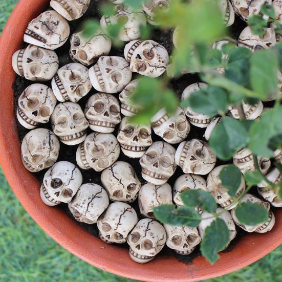 20 Pcs Smiling Skull Miniatures Resin Decor Skull Ornaments for Skull Figurines Planter Home Garden