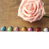 100Pcs Ladybugs Smooth Charming Colorful 3D Ladybugs Ornaments