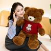 Cartoon Lele Sweater Bear Plush Toys Children's Birthday Gift Doll Exchange for Teddy Bear Sleeping Pillow