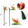 3 Pcs Large Bird of Paradise 32 Inch Permanent Flower,UV Resistant No Fade Flower Part is Made of Soft Rubber PU,Artificial Flower Plants for Home