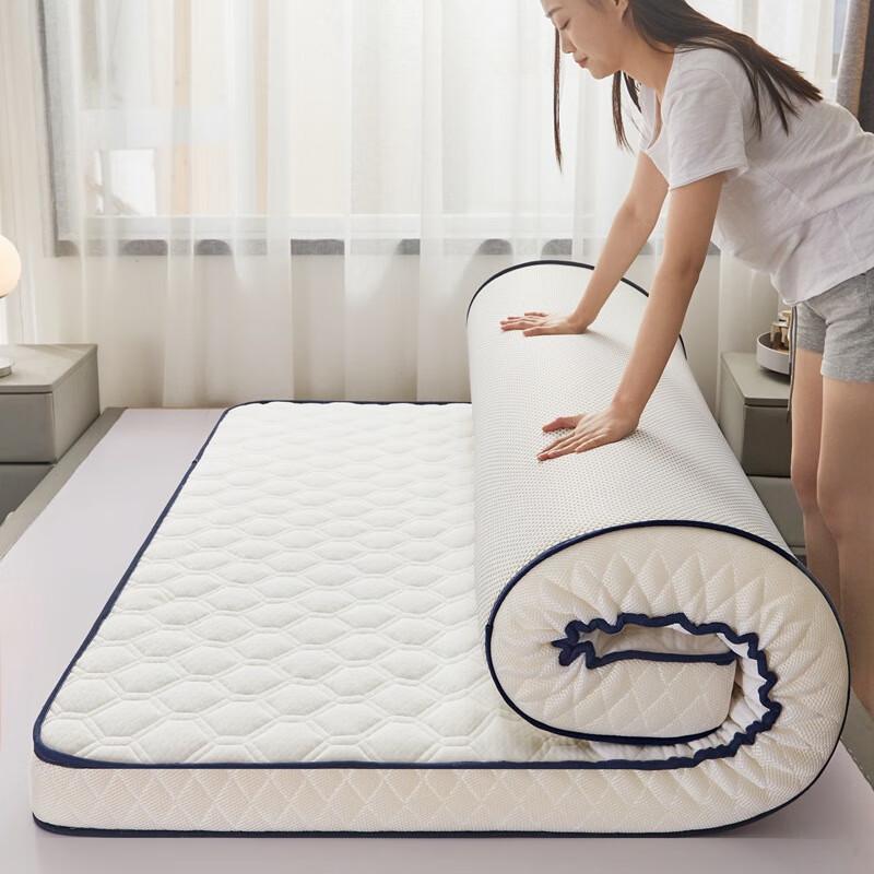 Nu Feng Soft Tatami Style Single Mattress