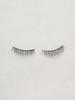 Daily False Eyelashes - D5 Style