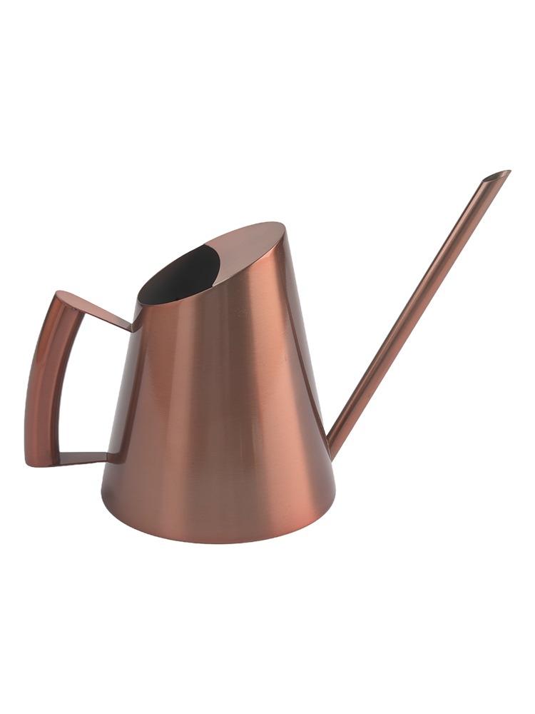 Stilvolle Gießkanne mit langem Ausguss aus Edelstahl: Für Zimmer- und Außenpflanzen