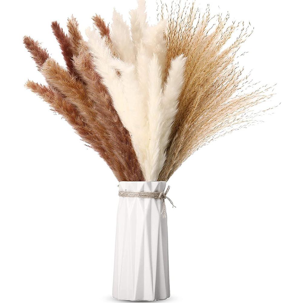 1 Bunch Dried  Reed Flowers Natural Plant Dried Pampas Grass Ornaments For Living Room Dining Tables Party Hallways Decoration
