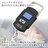 Fishing Digital Fishing Hanging Night Fishing Scale, Scale, Gear, Scale, Weight,