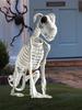 Halloween Skeleton Dog Spooky Skeleton Halloween Dog Skeleton Realistic Canine Bones Spooky Scary Ornament dog Models