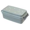 Ssbu Pianta Antibacterial Tight Lunch Container, 2 Tiers, Green, 670mL, 348822