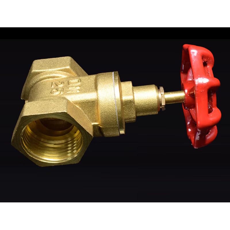 Evans 1-inch Gate Valve (32mm) CN plug (adapter included)