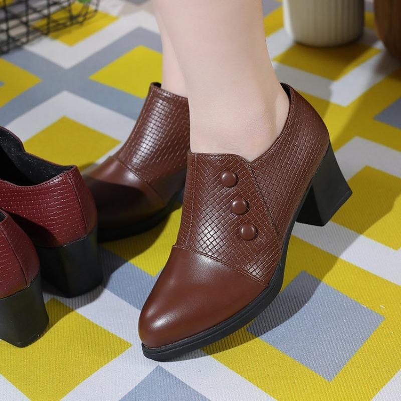 Single Shoes Women's Spring and Autumn New Thick Heel Pointed Small Leather Shoes Side Zipper