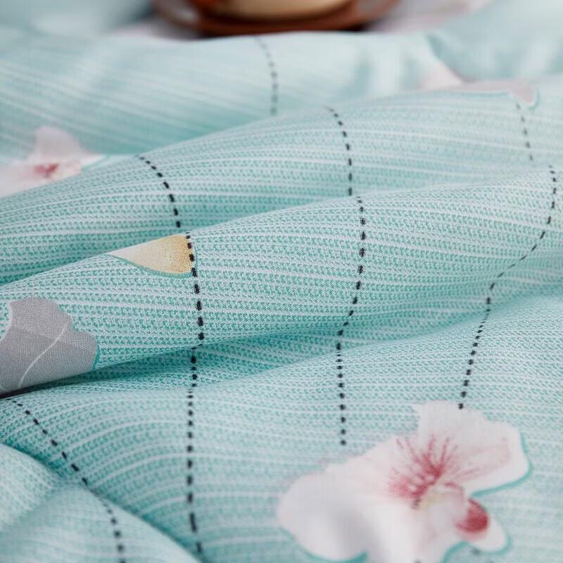 Bijiaman Warm Washed Cotton Anti-Mite Quilt