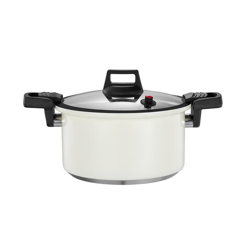 Stainless Steel Micro Pressure Cooker