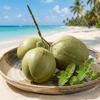Nucă de Cocos Artificială Verde Nucă de Cocos Falsă Realistă Nuci de Cocos Simulate Creative Decor Stil Fermă