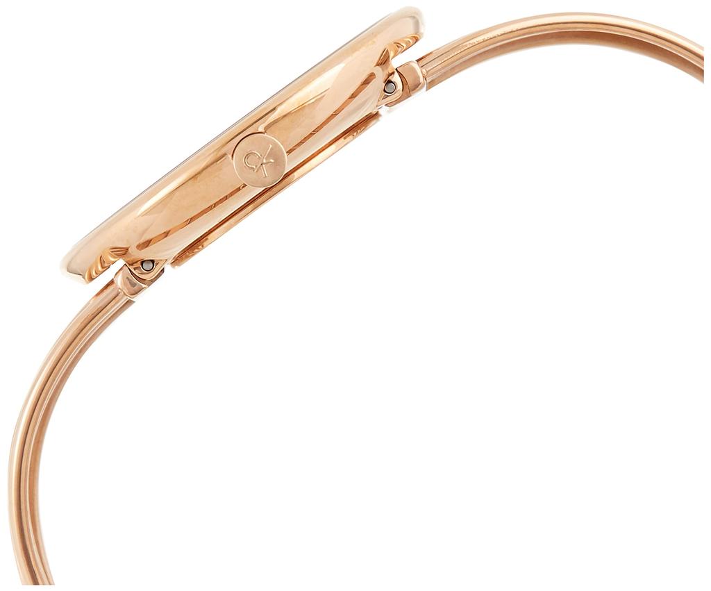 Calvin Klein Watch K6S2N616 - Women's