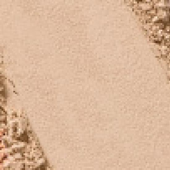 rom&nd slide in single