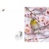 Impress Fuwakoro Kotori Schedule Book 2027 B6 Size Bird Calendar Diary