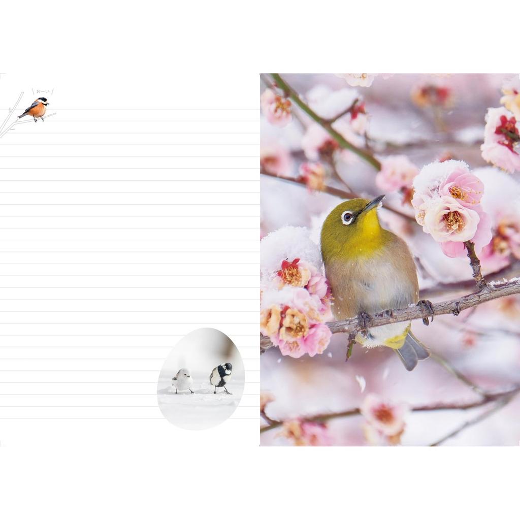 Impress Fuwakoro Kotori Schedule Book 2027 B6 Size Bird Calendar Diary