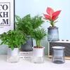 Mini Self Watering Flower Pot Fish Tank Transparent Plastic Plant Pots Self Watering Planter Pot Vase For Home Decoration