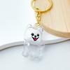 50pcs Cute Transparent Plastic Keychain Dog Hair Storage Keyring Bag Car Pendant For Family Member Souvenir Gift