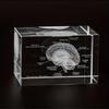 Modelo 3D de Cérebro Humano em Cristal Gravado a Laser Ferramenta de Ensino de Neurologia Presente Científico para Médicos Detalhes Anatômicos Decoração