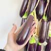 Realistic Hanging Vegetable String: Chili, Potato, Corn, Garlic, Peanut Props for Yard or Restaurant Decor