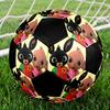Bing Theme Size 5 Soccer Ball, Suitable for Both Indoor and Outdoor Matches, a Gift Suitable for Everyone.