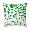 Cushion Pillow Cover Printed Cushion Cover St. Patrick's Day Gift