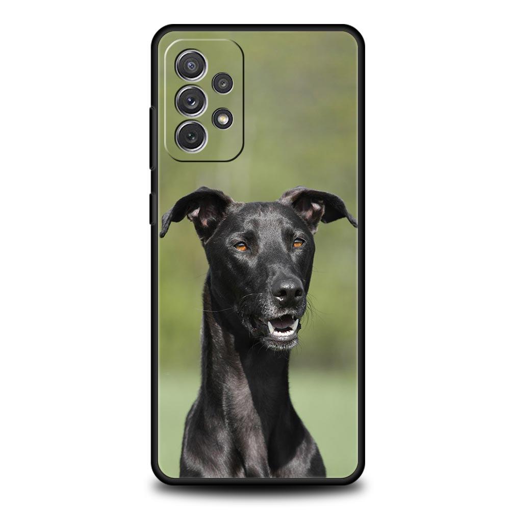 Galgo Greyhound Dog Phone Case For Samsung Galaxy A17 A07 A55 A35 A25 A15 A05 A33 A31 A23 A21s A13 A11 A41 A73 A53 A51 A71 Cover